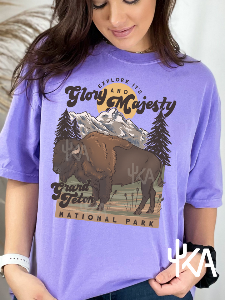 Buffalo Tetons T-Shirt (KA exclusive)