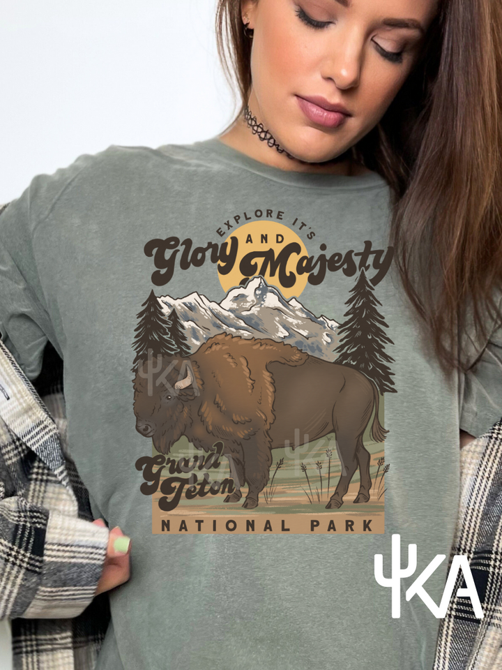 Buffalo Tetons T-Shirt (KA exclusive)