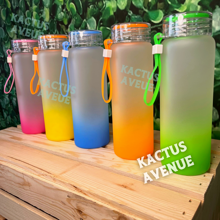 Ombre Frosted Glass Water Bottle