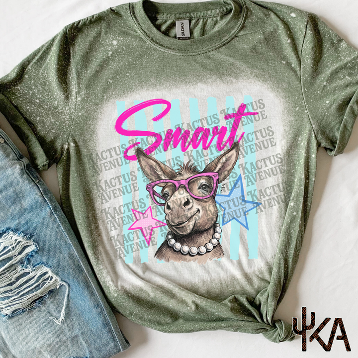 Sarcasm Donkey Bleached T-Shirt