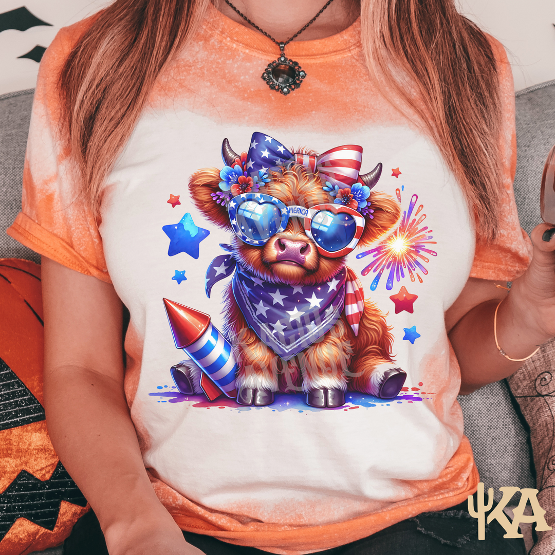 Highland Cow 4th of July Bleached T-Shirt