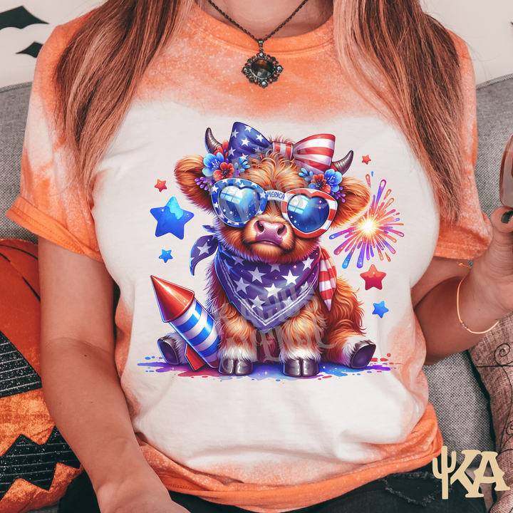 Highland Cow 4th of July Bleached T-Shirt