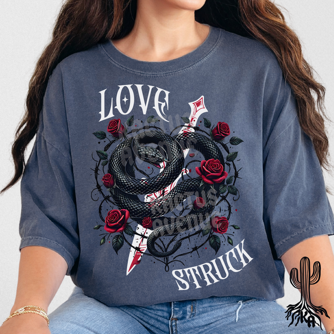 Love Struck T-Shirt (Comfort Colors)