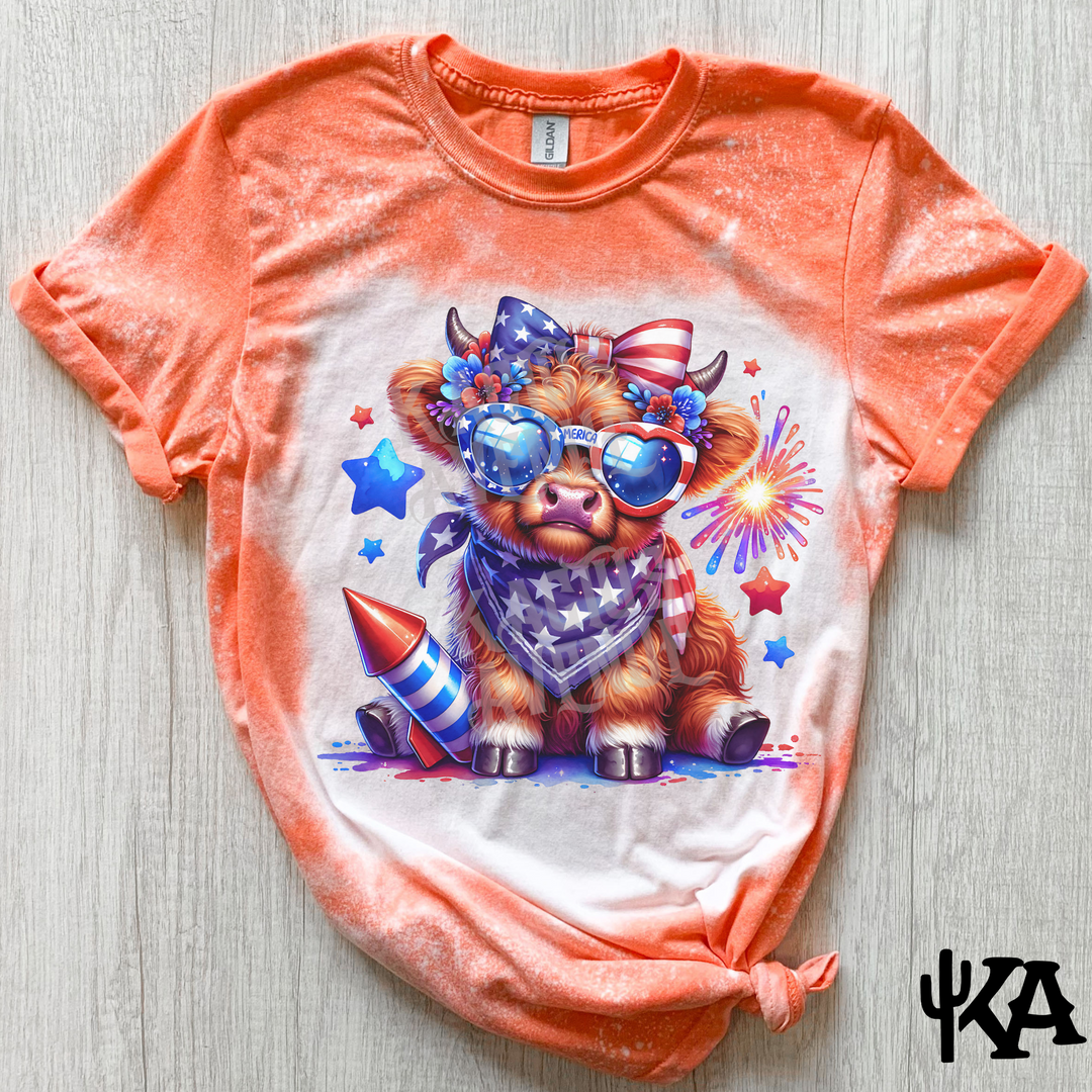 Highland Cow 4th of July Bleached T-Shirt