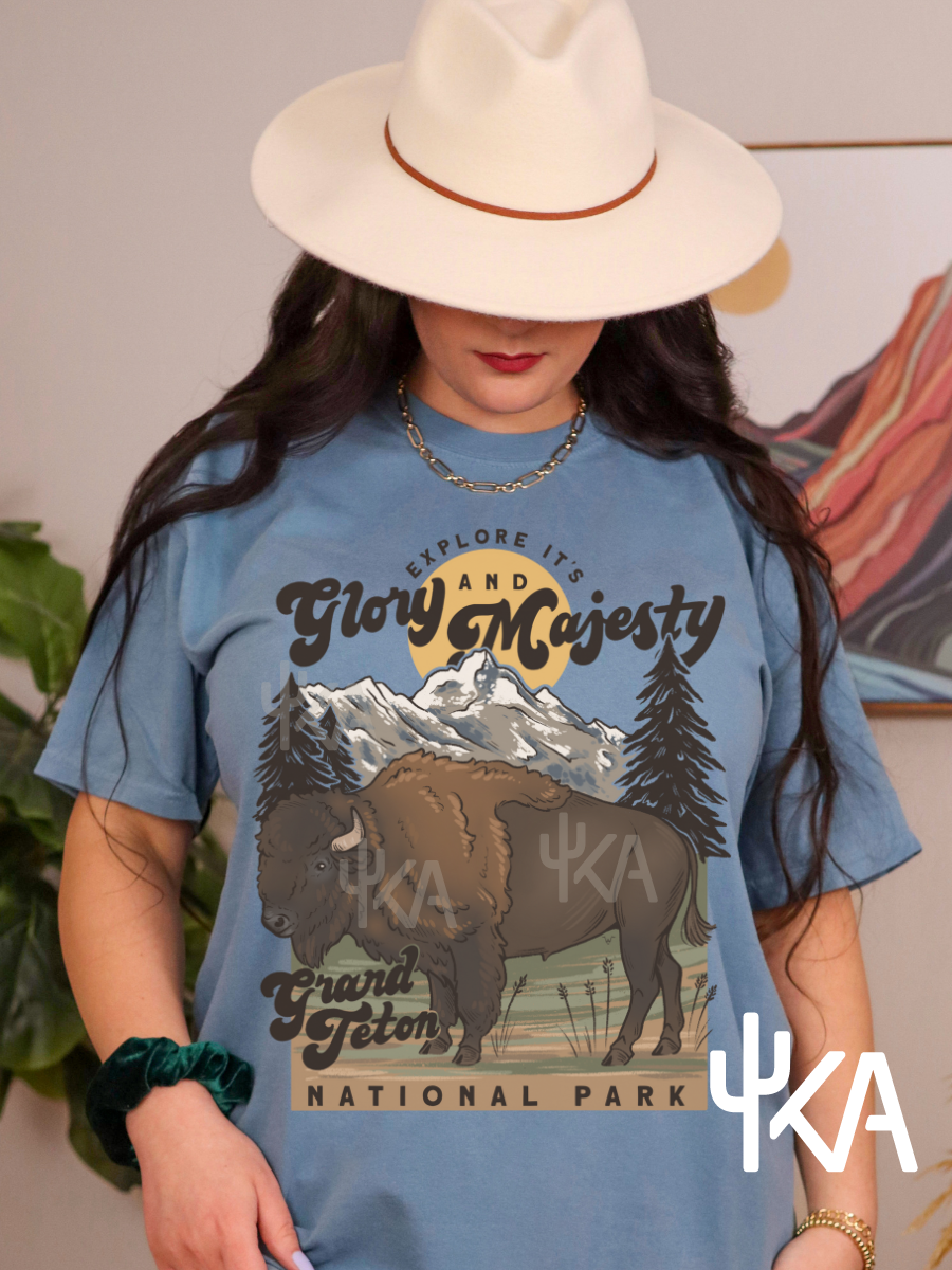 Buffalo Tetons T-Shirt (KA exclusive)