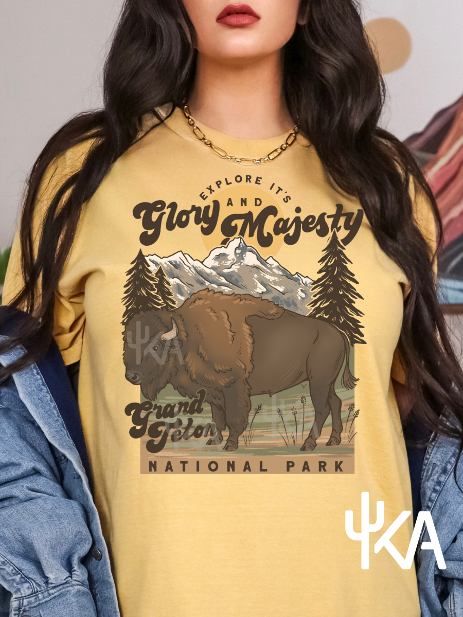 Buffalo Tetons T-Shirt (KA exclusive)